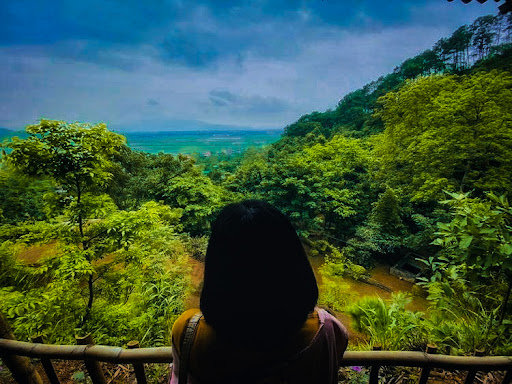 Chattering bird's retreat (HADO)