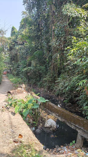 Ondikkavu paalaruvi (ഒണ്ടിക്കാവ് പാലരുവി)