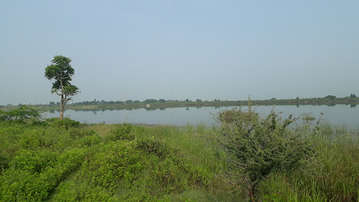 Rajura lake