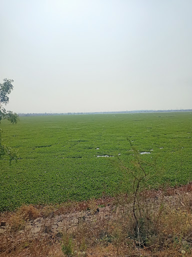 Takli Borgaon Dam