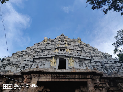 Rajanna Municipal Park