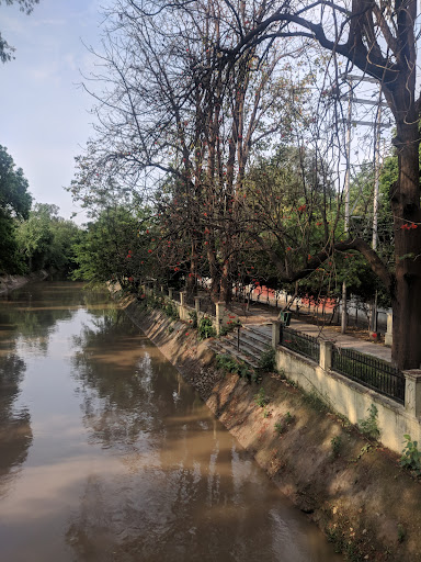 Rajender Park