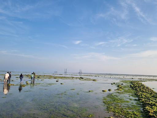 Narara Marine Life sanctuary