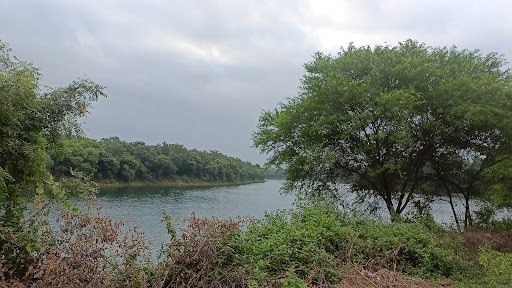 Goldy Lake View Point