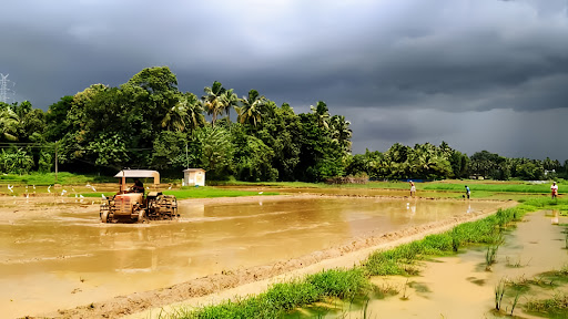 Vayaloram Vadanamkurussi