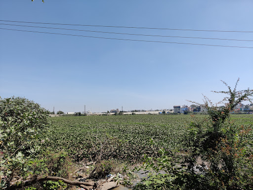 Dargah Lake