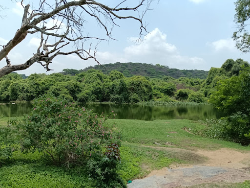 Sanamavu water falls