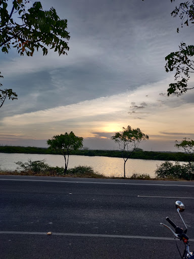 குடை - Umbrella