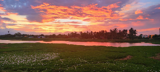 Malaiyalamedu pond