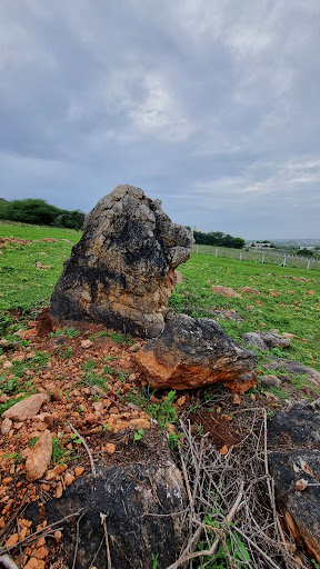 Bear Rock - கரடிப்பாறை