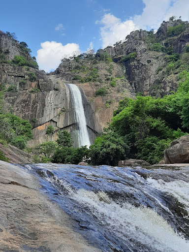 Talakkuthu Falls forest area