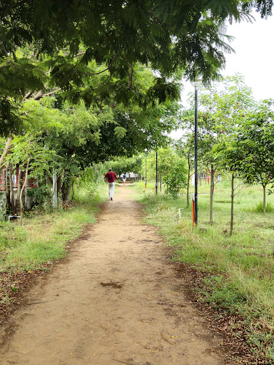 raja rammohan roy nagar public park