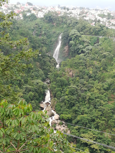 Bishop's Falls