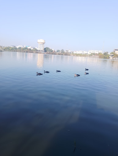 Nehru Garden Lake Sunset Point
