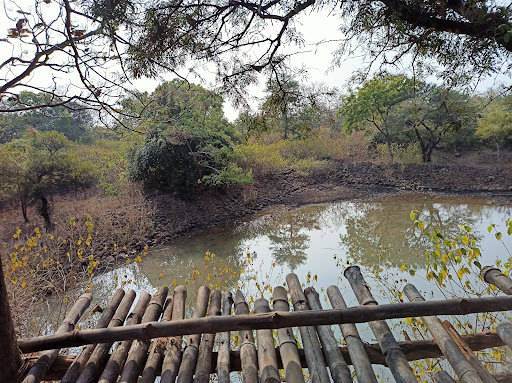 City Forest