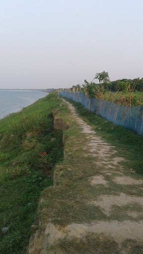 Mango garden padda side