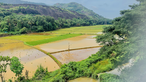 Aqueduct Bridge Kariyamutty