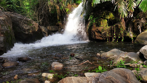 Meenvallam Water Falls