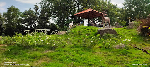 Rock garden