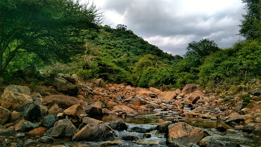 Vellimalai Waterfalls