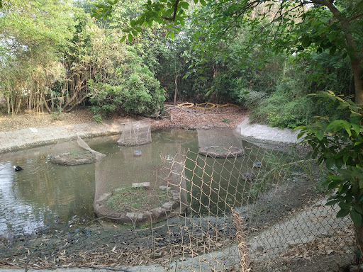 Nature Club Surat (Eco Farm)