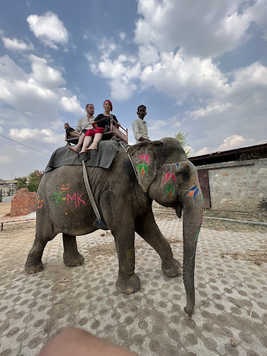 Jaipur Elephant Park