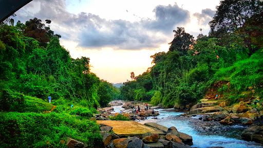 Thusharagiri Waterfall