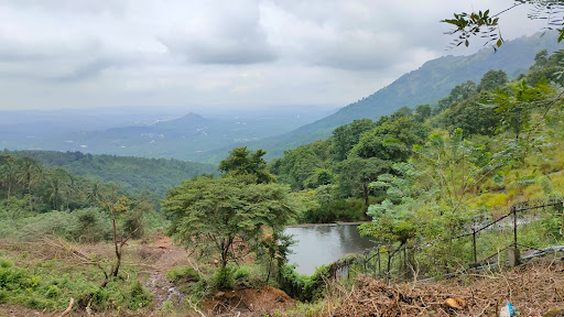 Kodikuthimala View Point