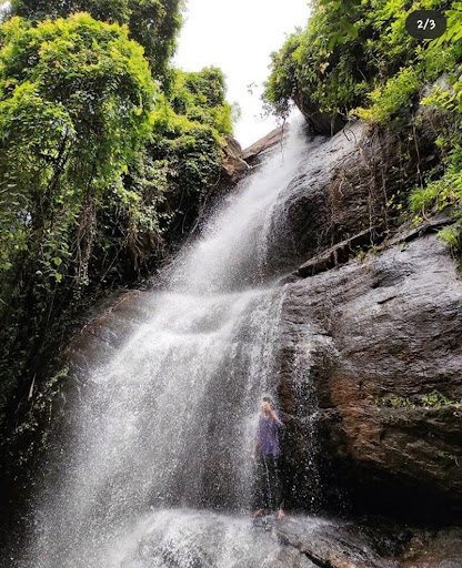 Variyan chola waterfalls