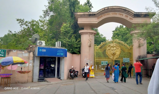 Lucknow Zoo Paddle Boating