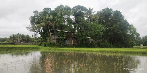 Thaikattussery Vallachira Padam