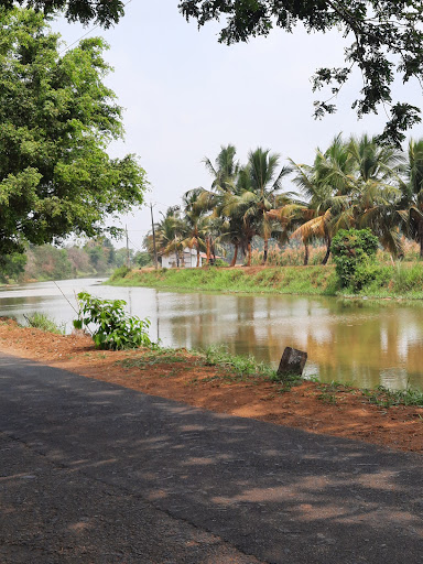 Sunset view point Nedupuzha