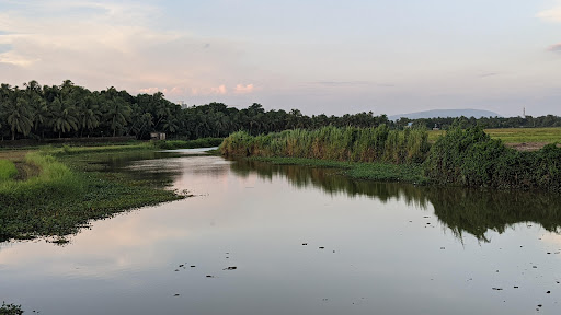 Adat padam view point