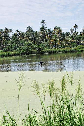 Vypin Beach