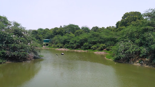 Kanpur Zoological Park