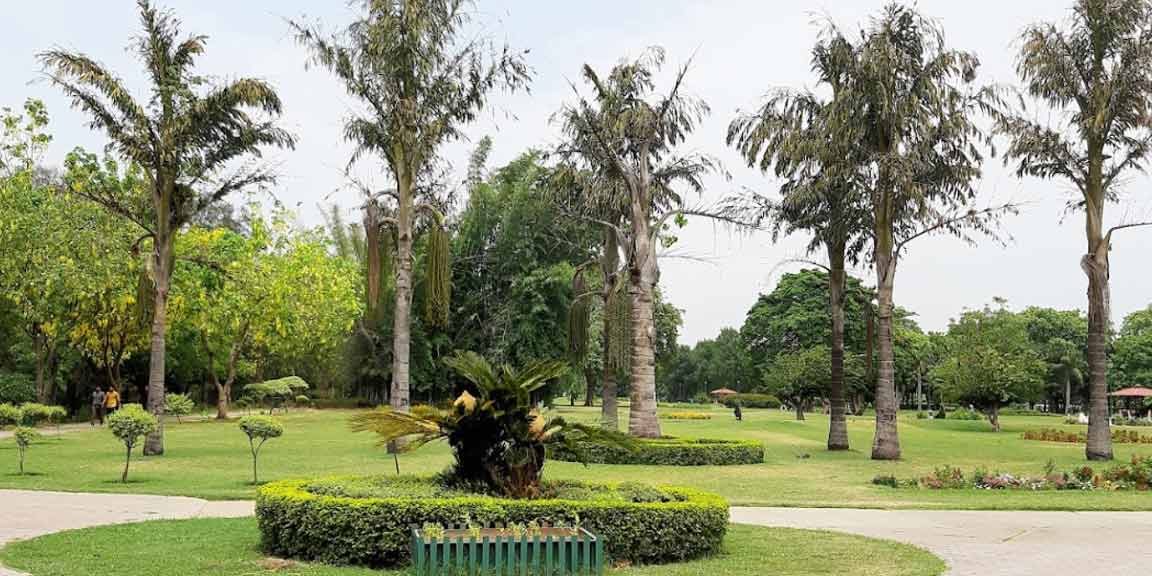 garden of fragrance 36b chandigarh