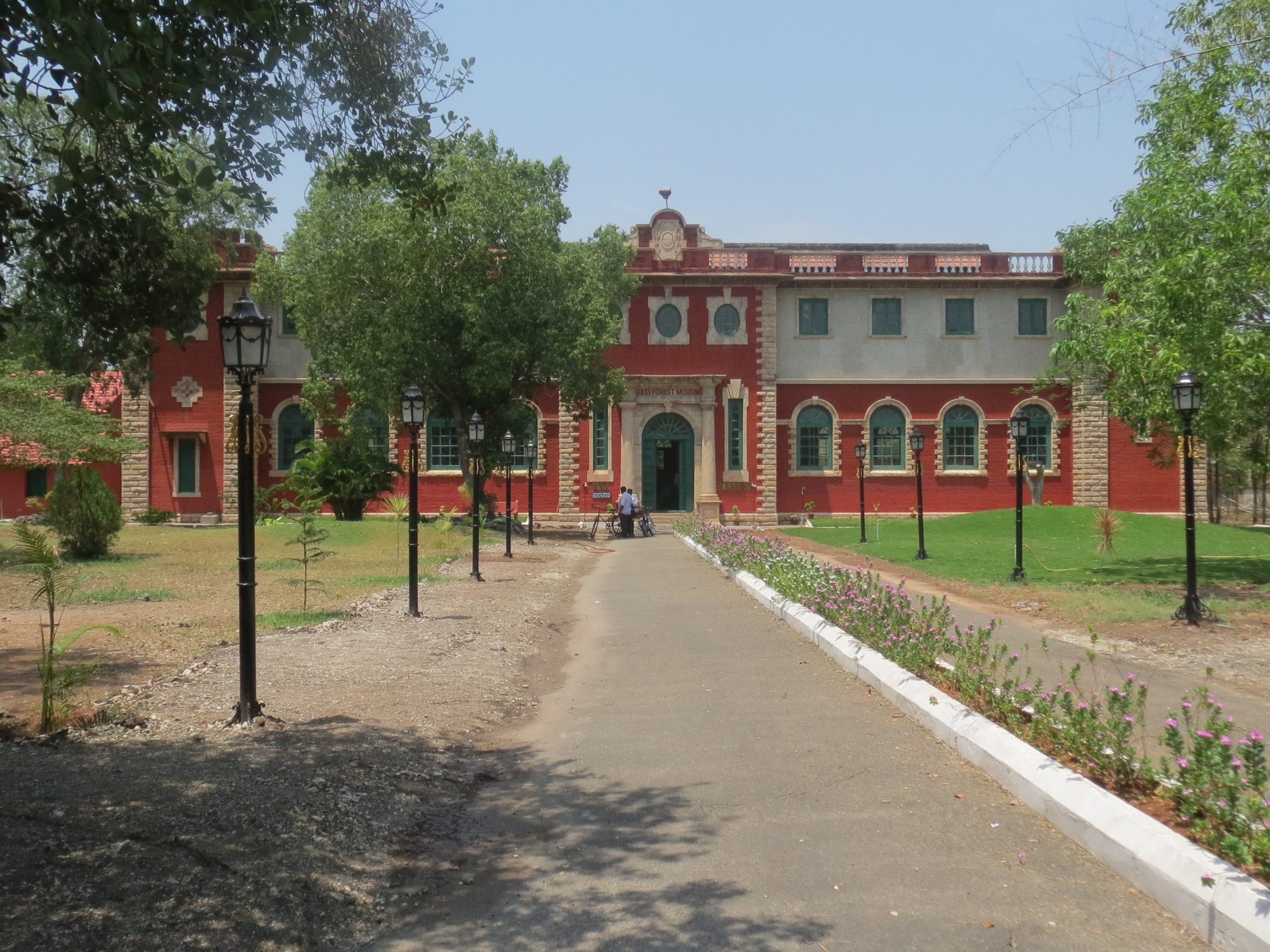 gass forest museum scaled