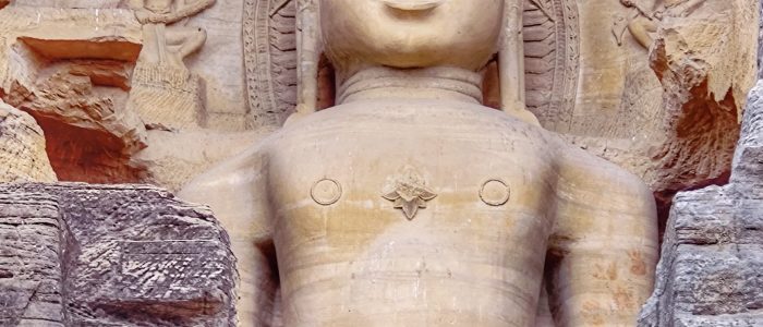 gopachal jain parvat