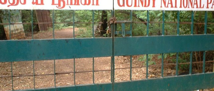 guindy national park