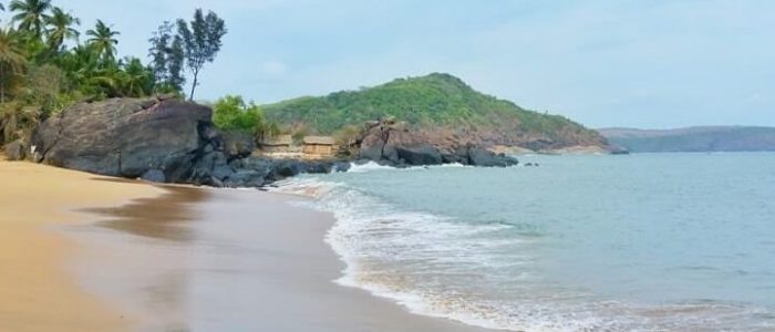 halfmoon beach kochi