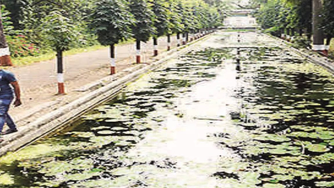 himayatbagh biodiversity heritage site 1