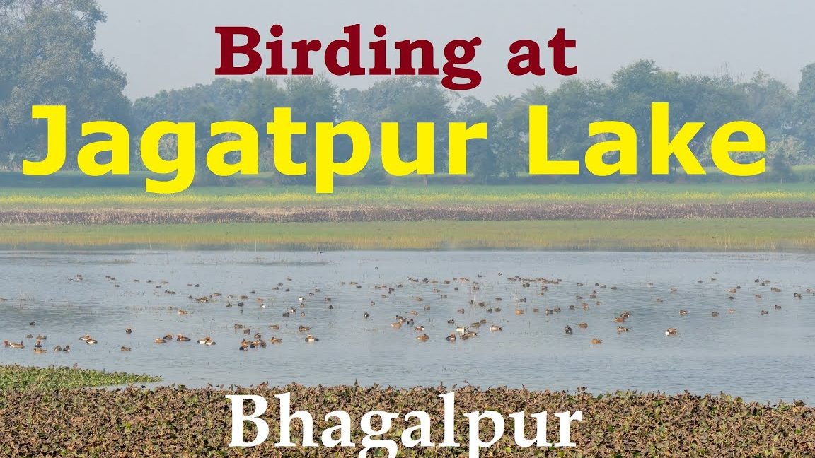 jagatpur lake naugachhia