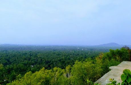 judgekunnu view point 1