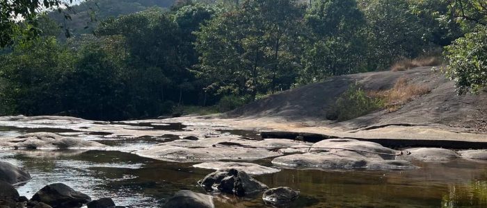 kadavupuzha pool waterfalls 1