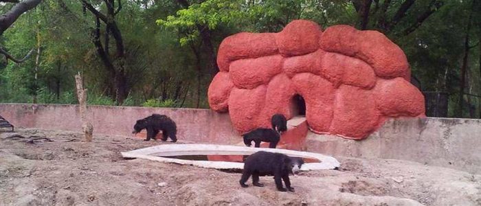 kakatiya zoological park