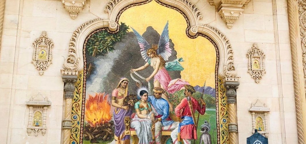 kalpavriksha treeadansonia digitatabaobab tree e0aa98e0ab87e0aab2e0ab81e0aa82 e0aa9de0aabee0aaa1 1