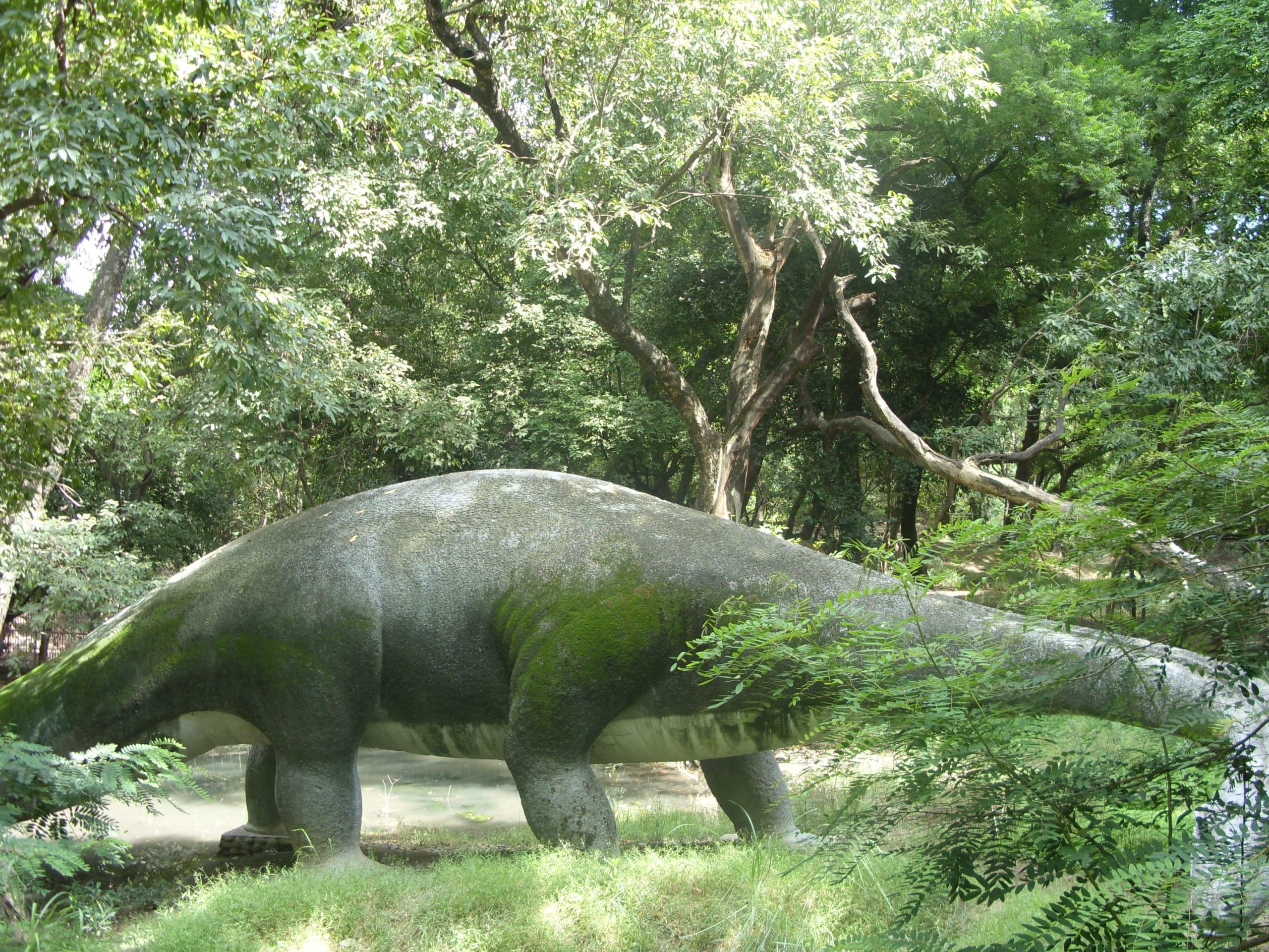 kanpur zoological park scaled