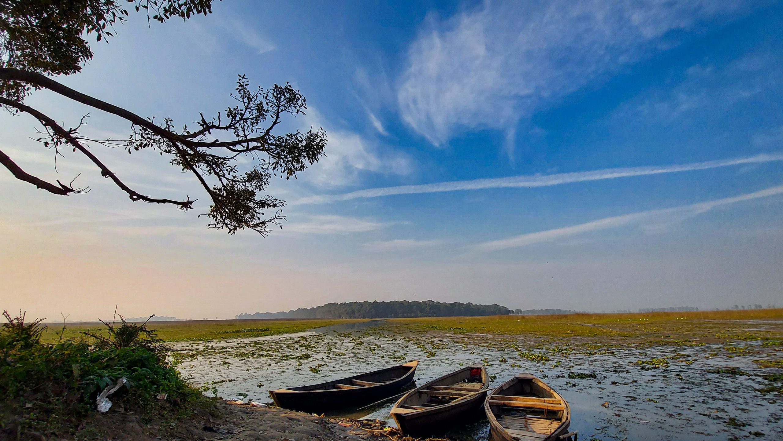 kanvar lake bird sanctuary scaled