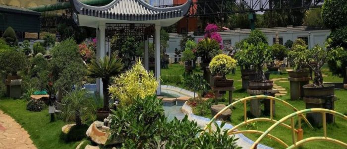 kishkindha moolika bonsai garden