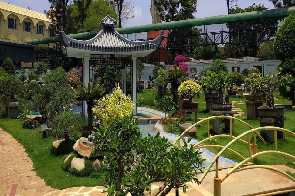 kishkindha moolika bonsai garden